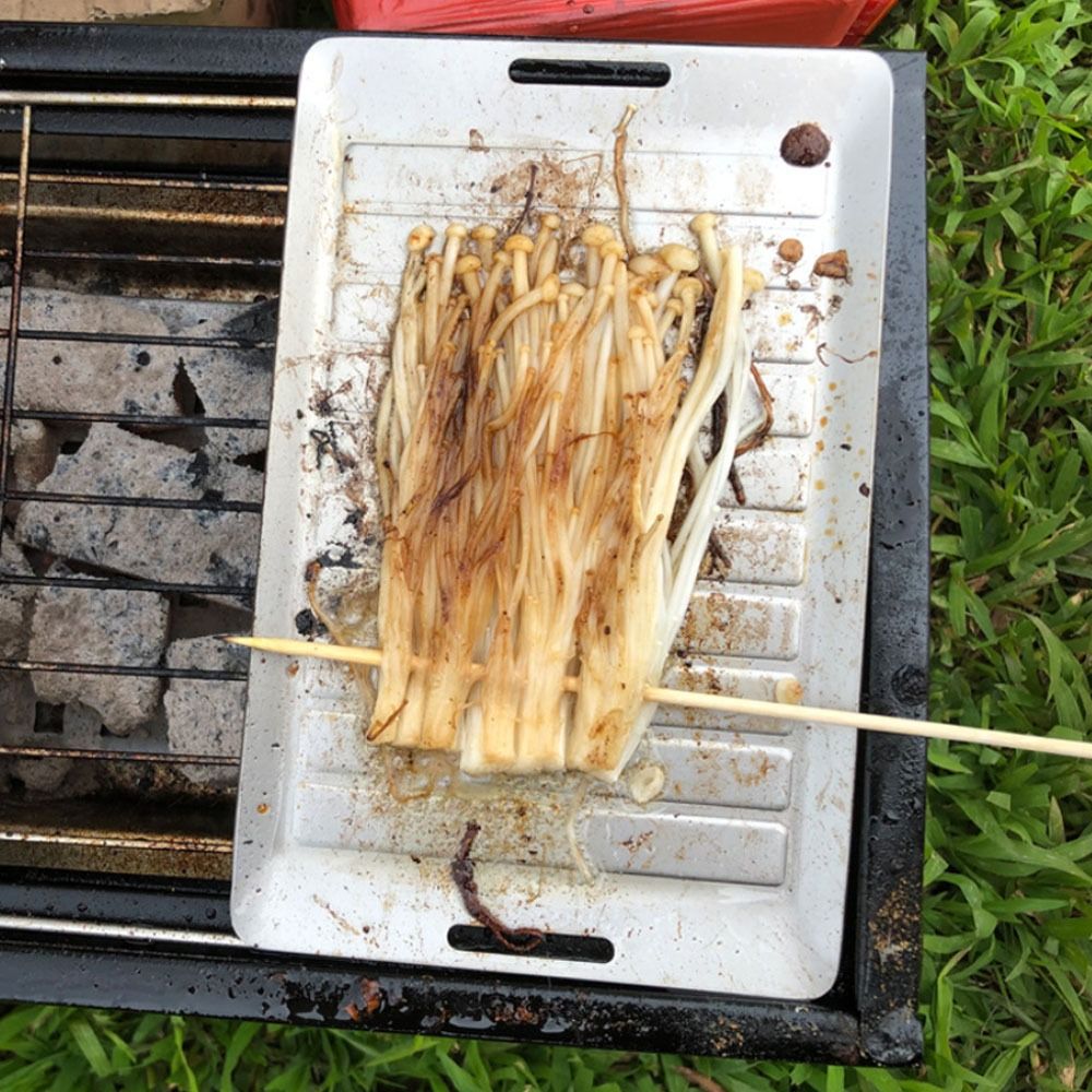 Durable Titanium Camping Grill - Kitchen Baking Tray Organiser ulasan dan harga